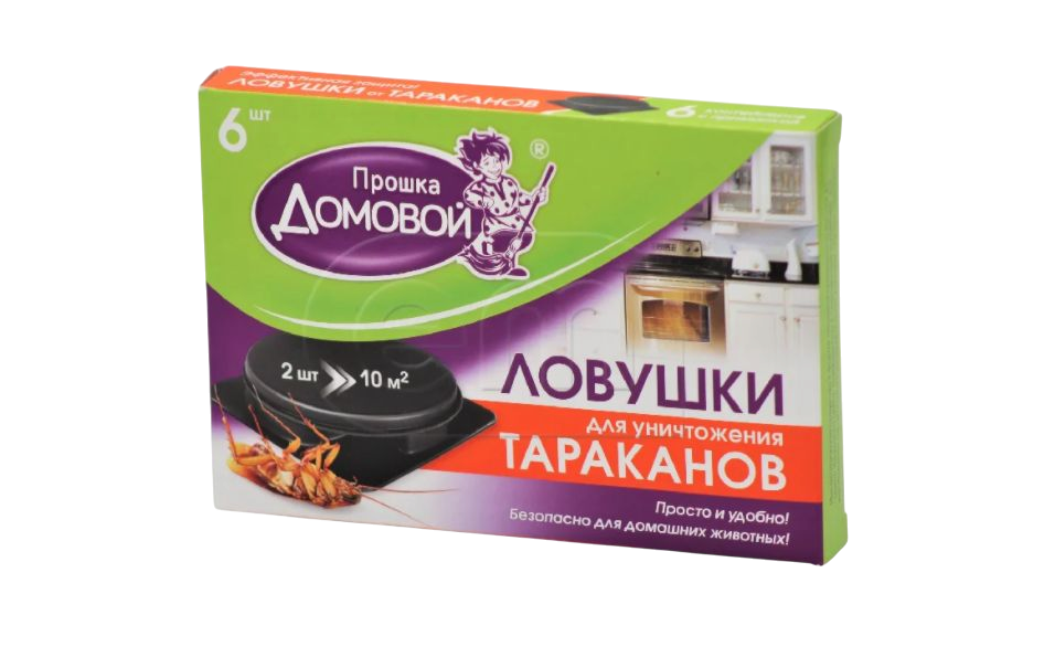 Домовой Прошка