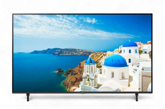 Panasonic MX950E 55