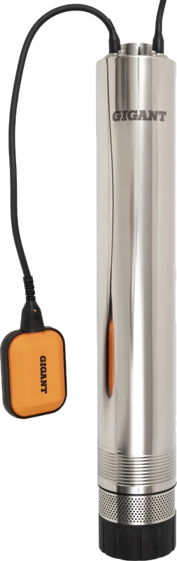 Gigant CACH-01